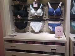 -Victoria's Secret(苏州中心全品类店)