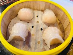 -香港威特瑞茶餐厅(小白楼音乐厅店)