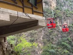 -北京龙庆四季香农家饭庄·灶台鱼·碳烤虹鳟鱼(龙庆峡店)