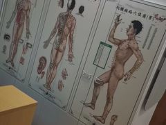 -脊元康推拿整脊养生馆