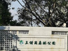 -王借岗森林公园