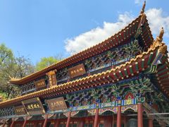 -高尔山公园