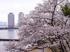 -台场海滨公园船码头
