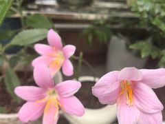 -坂田手造文化街