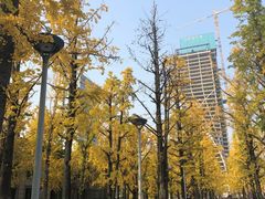 -百林公园-两江幸福广场