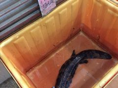 -荔城生鲜盛宴(番禺旗舰店)