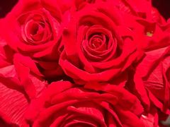 -华豫川酒家(双子塔店)