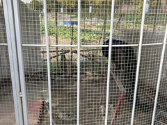 -菊园百果园