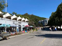 -燕塞湖鸟语林景区
