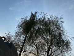 -东兴顺爆肚张