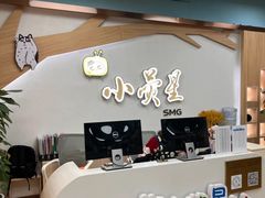 -小荧星艺校(大宁分校)