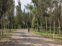 -东郊湿地公园