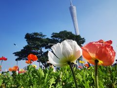 -海心沙亚运公园
