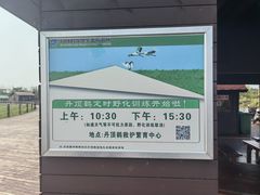 -盐城丹顶鹤湿地生态旅游区