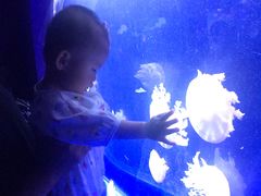 -乌鲁木齐海洋馆
