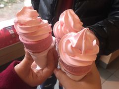 -麦当劳(曲阳店)