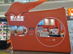 -野人先生现做冰淇淋(北京王府井东方新天地店)