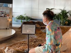 -Seesaw Coffee(朝阳大悦城店)