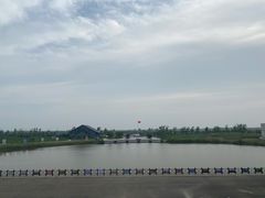 -盐城丹顶鹤湿地生态旅游区