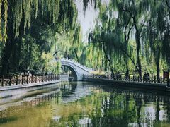 -迎泽公园