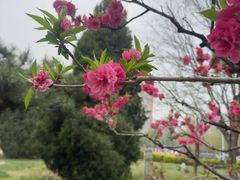 -太阳宫公园