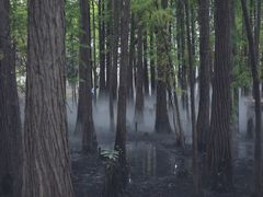 -东湖落雁景区