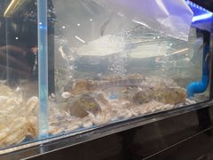 -盒马鲜生(观音桥店)