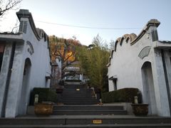 -遵化市禅林寺古银杏风景园