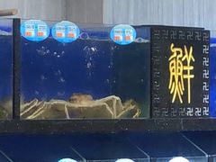 -豫璟轩中餐厅(南昌万怡店)
