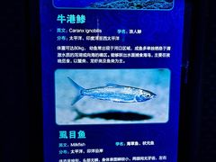 -波塞冬海底世界