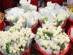 -循礼门鲜花花市(武汉循礼门店)