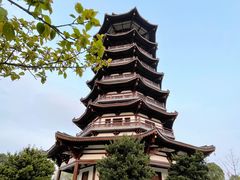 -洋湖国家湿地公园