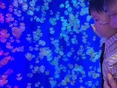 -成都浩海立方海洋公园