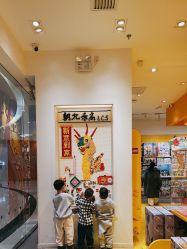 -乐高授权专卖店(朝阳大悦城店)