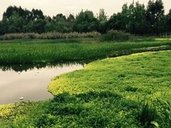 -白鹭湾湿地公园