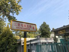 -三里屯东五街银杏大道