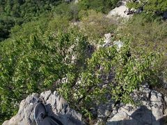 -北京鹫峰国家森林公园
