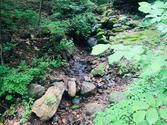-天女山森林公园