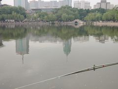 -文瀛公园