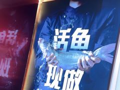 -老板恋上鱼(恒隆广场店)