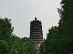 -玲珑塔公园