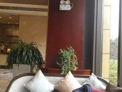 -常州环球恐龙城维景国际大酒店