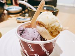 哈根达斯-大渔铁板烧(万象城店)