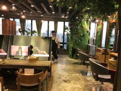 -V-STAR威斯达•高级私人定制