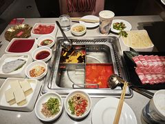 -海底捞火锅(赛格国际购物中心店)