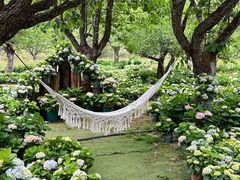 -名花谷生态庄园