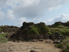 -龙坑生态保护区