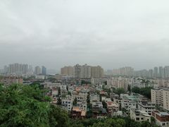 -福道