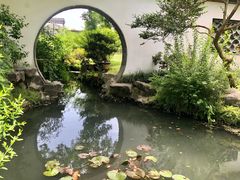 -上海醉白池公园