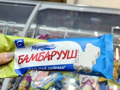 -成吉思汗国际机场(ZMUB, ULN)